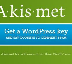 Akismet WordPress Key