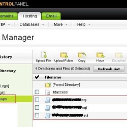 Backup from Godaddy