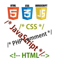 HTML CSS Java Script