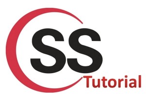 CSS Tutorial