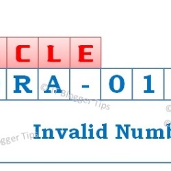 Ora-01722 Invalid Number