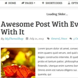 Sensational WordPress Theme